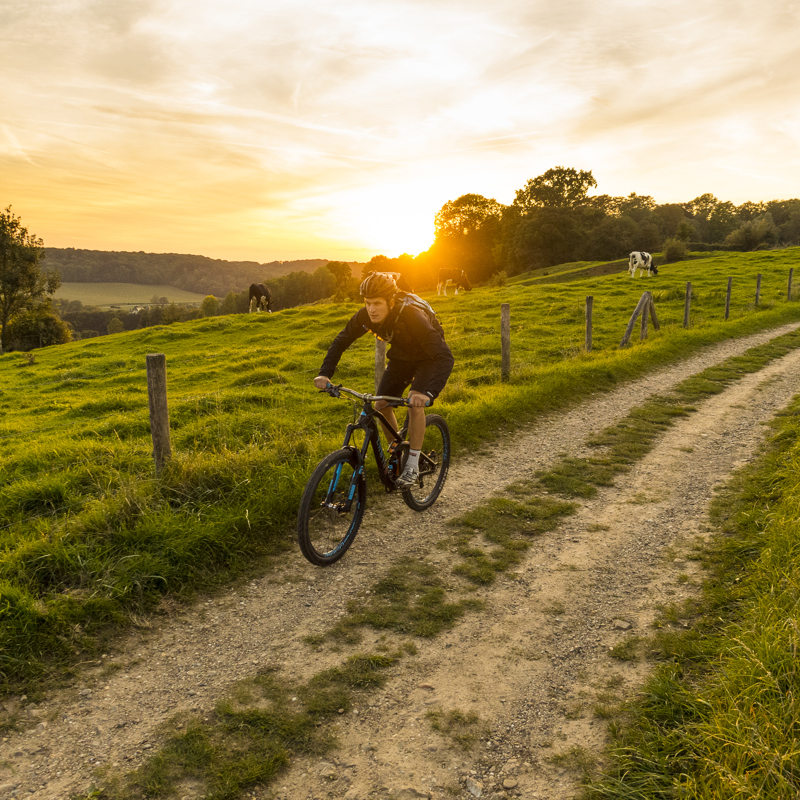 Een mountainbiker fietst een onverhard fietspad naar beneden met de zonsondergang op de achtergrond en weilanden met koeien om hem heen